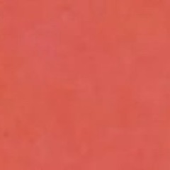 maximum maximum + wasteland