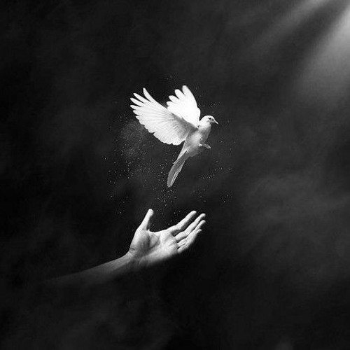 أَتاني كطيفٍ بحلمٍ سرابِ!🍁🕊️