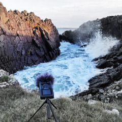 St Baldreds Cradle - Pebble Beach - 3:03pm 16th November 2024