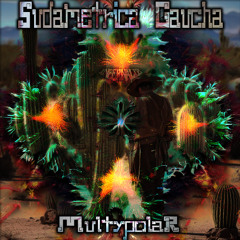 sudametrica gaucha-multypolar-215 bpm-mastering by infernaliz records