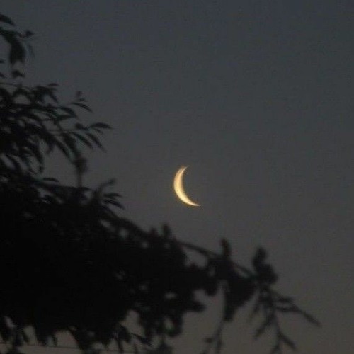 2Scratch MOON_777 SLOWED REVERB