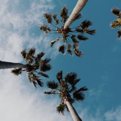 take 5 at the islands (5/4)