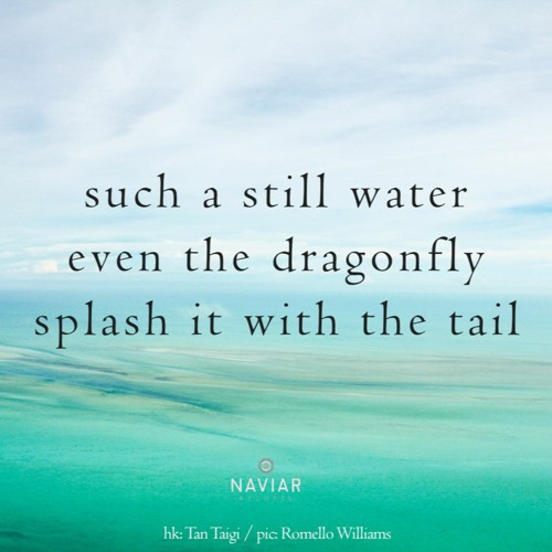 But Still Waters Run Deep (Naviarhaiku399)
