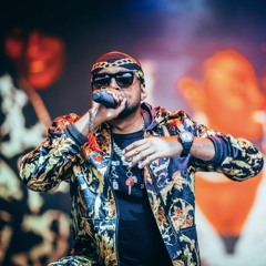 Sean Paul - Get Busy (A`noud Moombahton Remix Xorks Style)