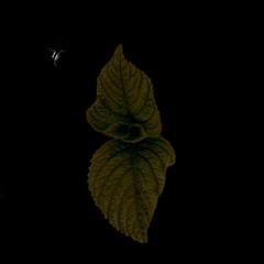 Verteegoe - Eyes are never quiet (Original mix).mp3