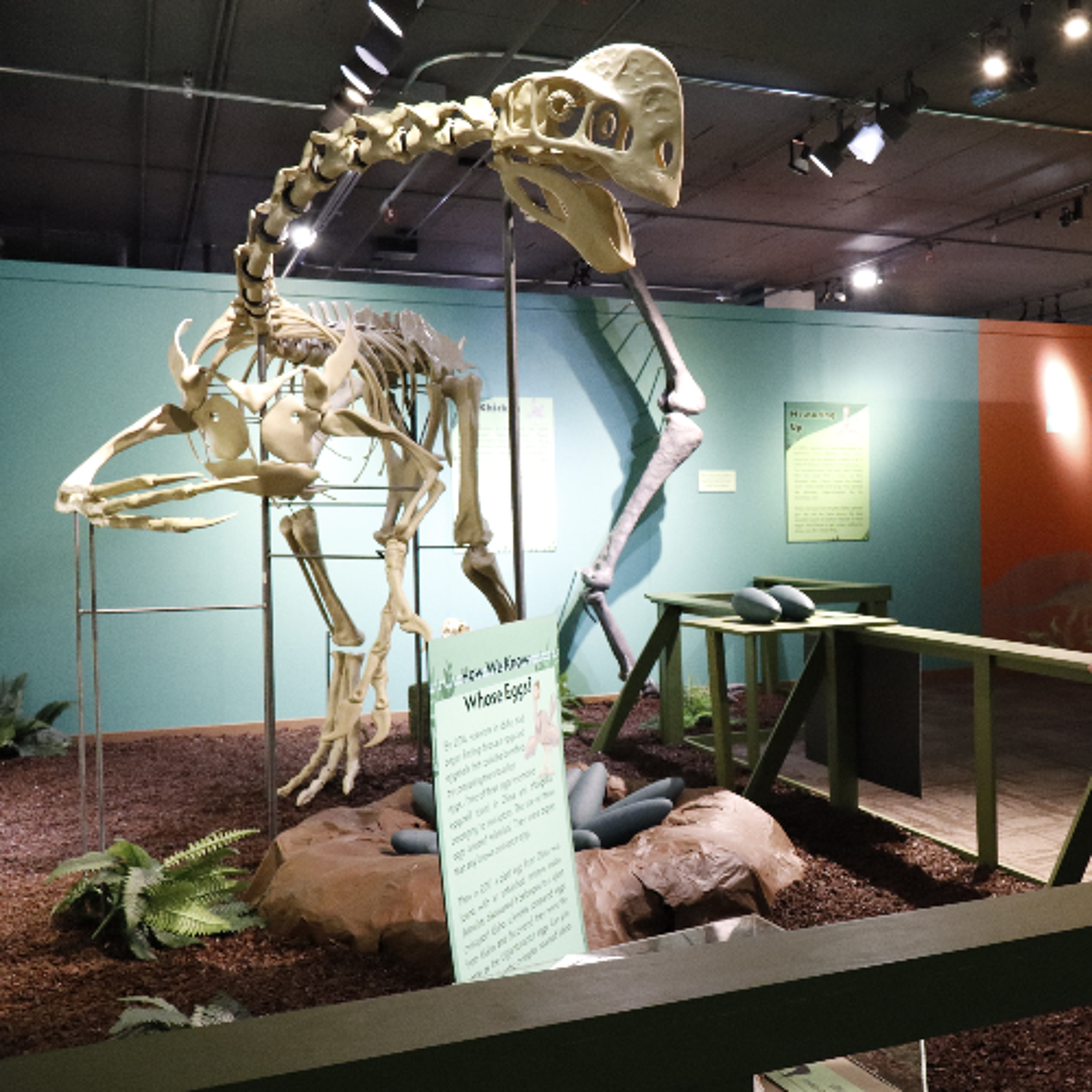 Idaho Museum of Natural History debuts 100-million-year-old dinosaur-eating crocodile skull episode artwork
