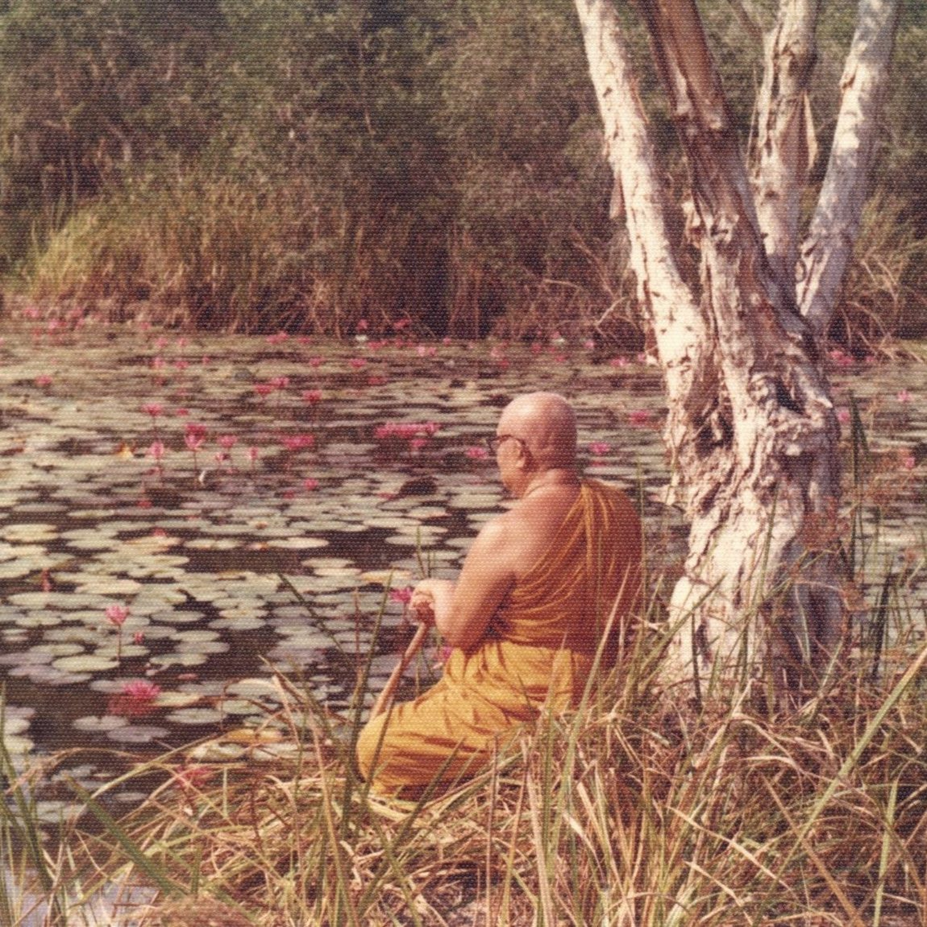 Buddhadasa Bhikkhu Dhamma Talks