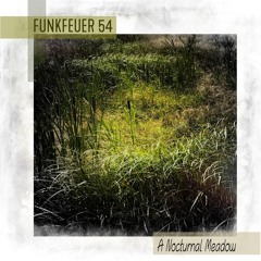 Funkfeuer 54 - A Nocturnal Meadow
