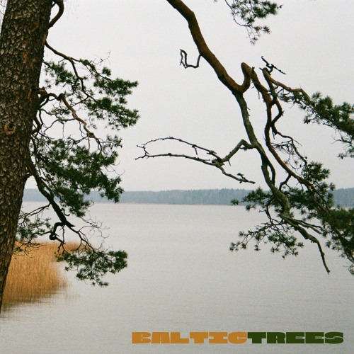 f.shigarcov - Fir [Welofi]