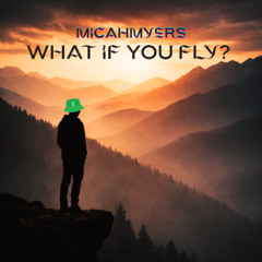 What if YOU fly?