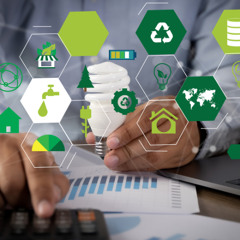 Sustainability Reporting Services That Tell Your Impact Story