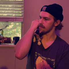 when cold north wind blows