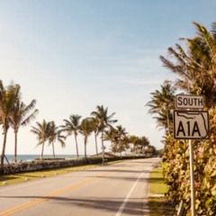 Saucey - Palm Coast