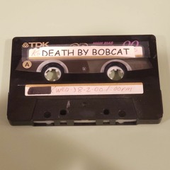 Death By Bobcat - Flint Punk Rock City