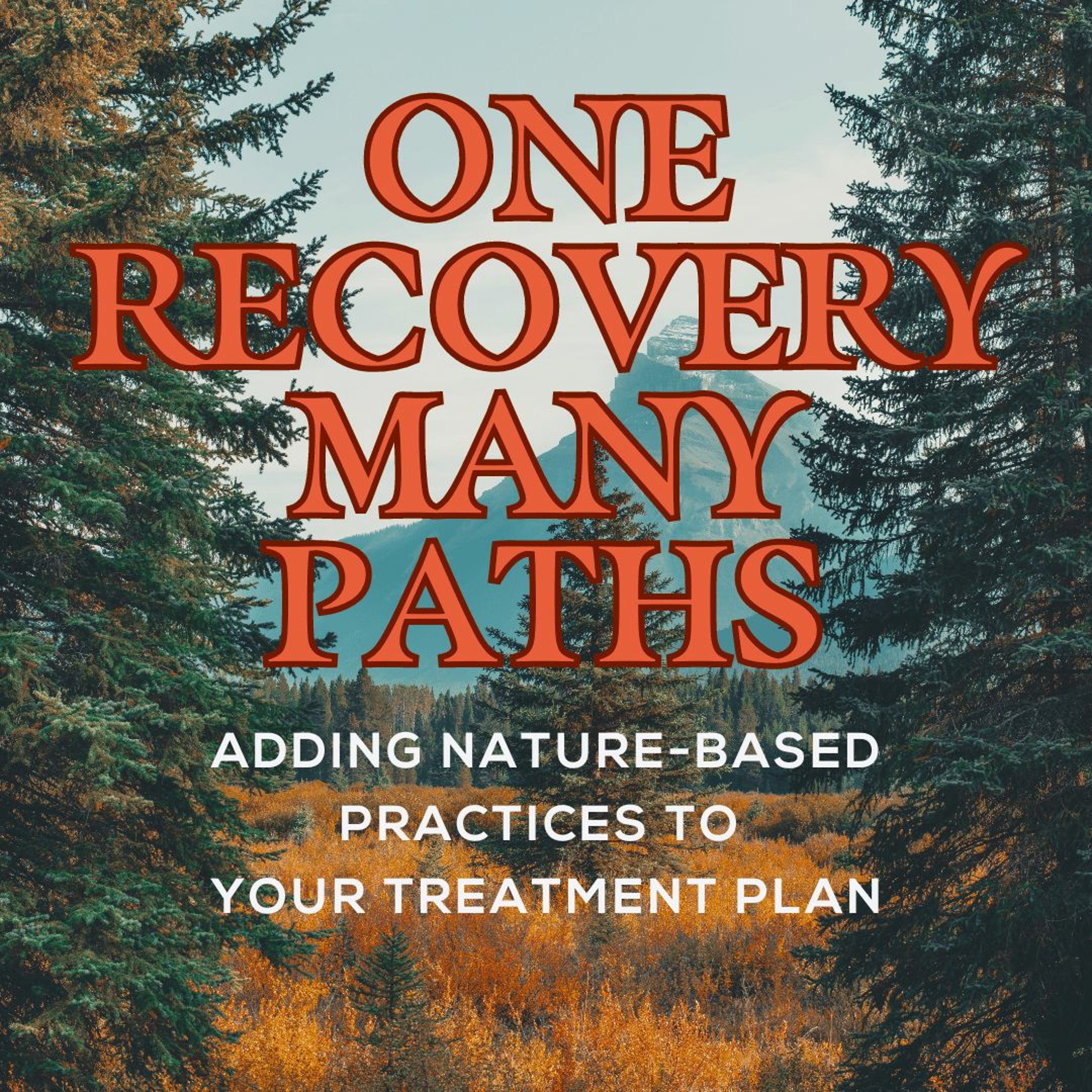 One Recovery Many Paths