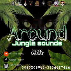 Around Jungle Sounds- Dj Garay