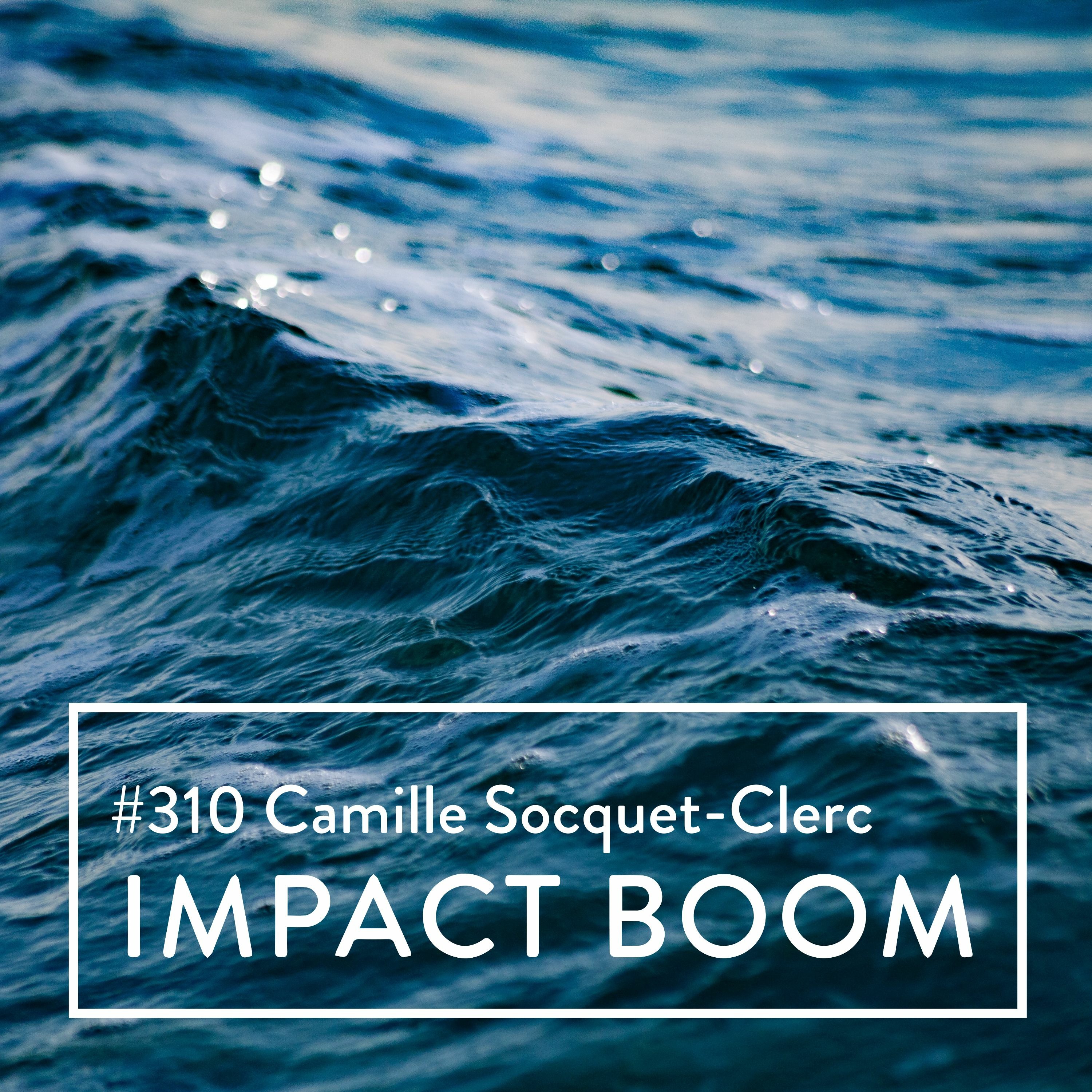 Episode 310 (2022) Camille Socquet-Clerc On Adapting Financial Technology To Protect The Environment episode artwork