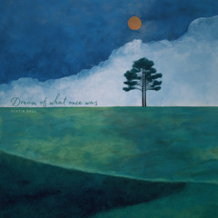 Dream of what once was