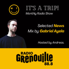 Radio Grenouille - It's A Triiip! 11/09/2024 w/ Gabriel Ayela
