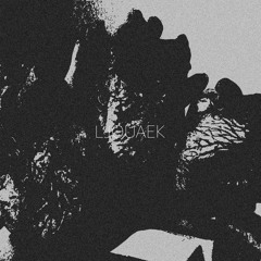 LjouAek (buana & venti)