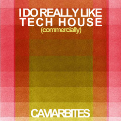 i do really like tech house (commercially)