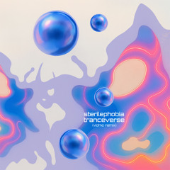 Tranceverse (VIDMO Remix)