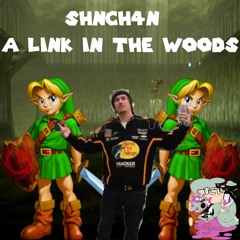 A Link In The Woods