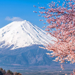 mount fuji