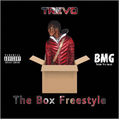The Box Freestyle