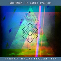 Movement ~ Shamanic healing medicine trip