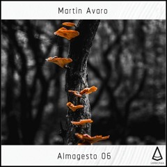 Martin Avaro - Almagesto 06 Podcast