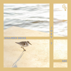 Joey T - SOULMEEX DECKS 163