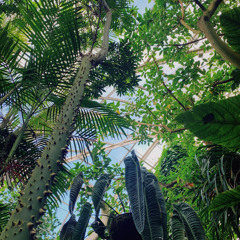 Vaasankatu sessions – Botanical