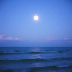 Purple LoFi Beats - Herbal Tea Reflections [lofi hiphop/chill beats] (Royalty Free)