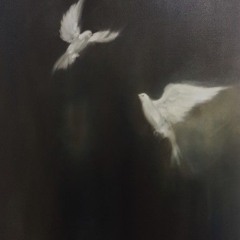 I seen a dove for the first time in my life