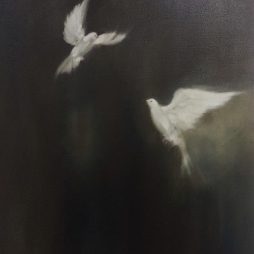 I seen a dove for the first time in my life