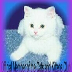 meow