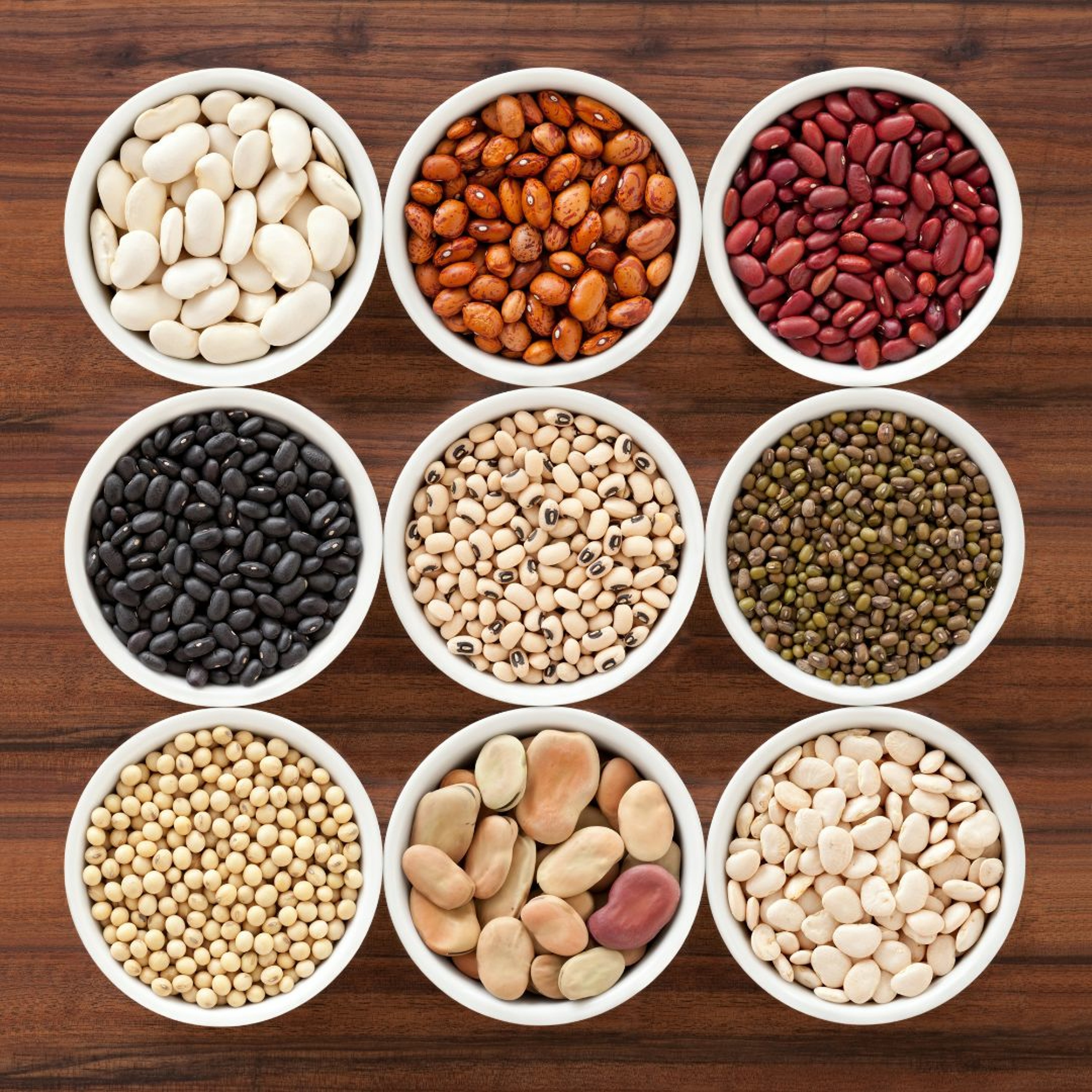 Food Chat