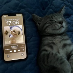 не любовь </3