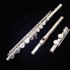 Fluteer