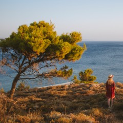 Who Has Seen The Wind