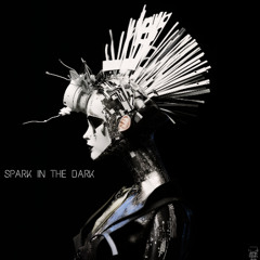 PREMIERE : River Red feat Sterry Tiberio - Spark In The Dark (Original Mix)