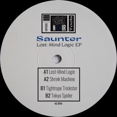 Saunter - Lost-Mind Logic EP (CNT006)