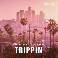 Trippin' (feat. Josh Wood)