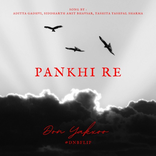 Pankhi Re (Don Yakxoo DnB Flip)