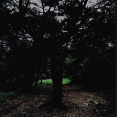 성 (ver.2)