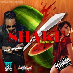 Mek It Shake