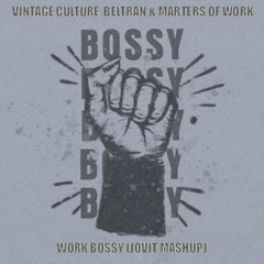 Vintage Culture, Beltran & Masters of Work - Work Bossy (Jovit Mashup)