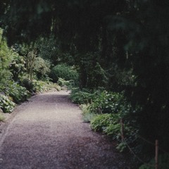 A Walk In A Park Of Memories