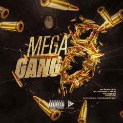 Mega Da Gang 08 (feat. MC Braz, DJ 2w & MC Bobiloco)